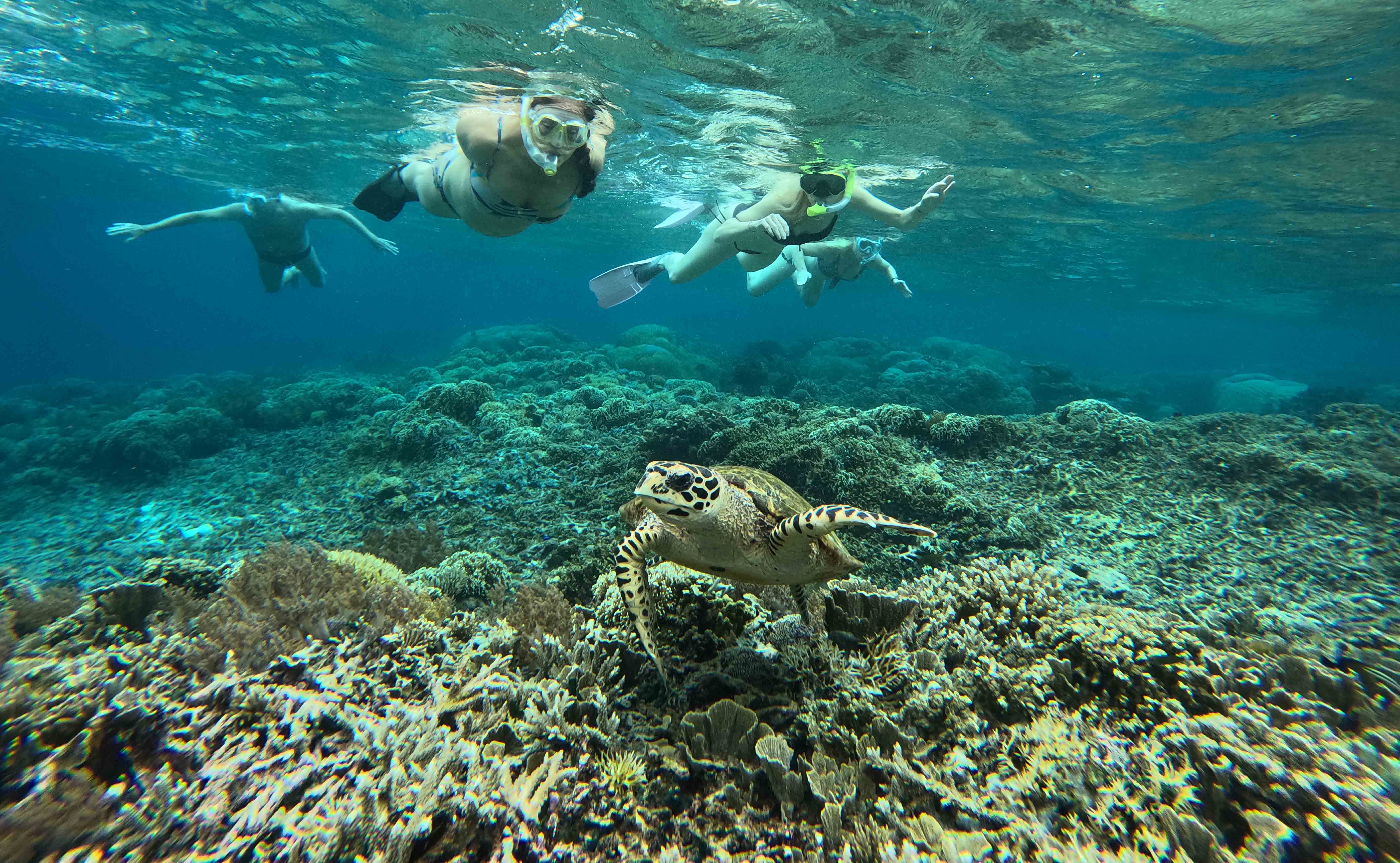 Sawandarek Raja Ampat