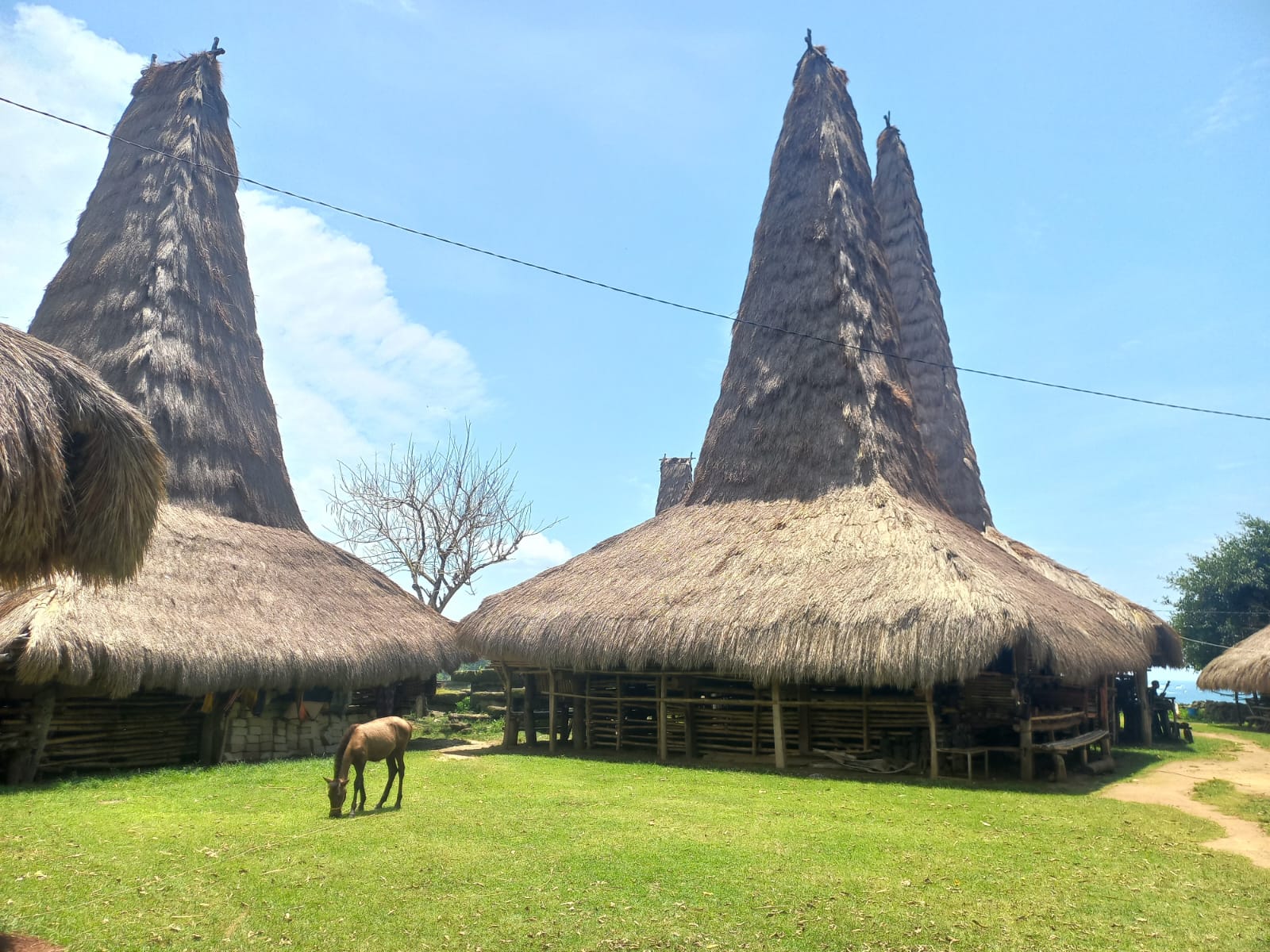3 DAYS 2 NIGHTS SUMBA TOUR